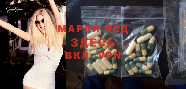 гидра Вязьма