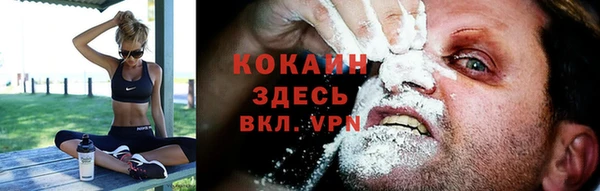 гашик Вязники