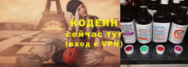 ГАЛЛЮЦИНОГЕННЫЕ ГРИБЫ Горно-Алтайск