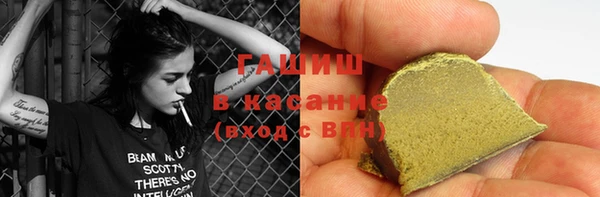 гидра Вязьма