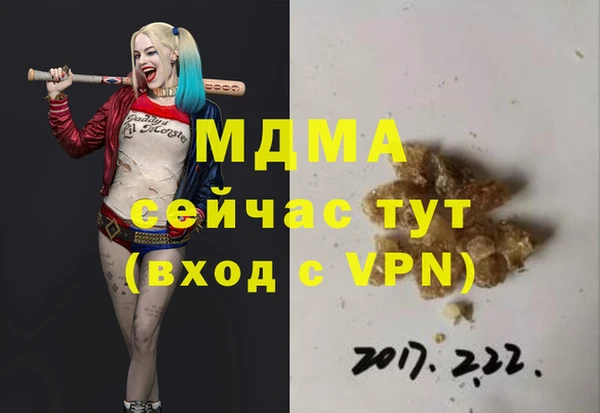 гидра Вязьма