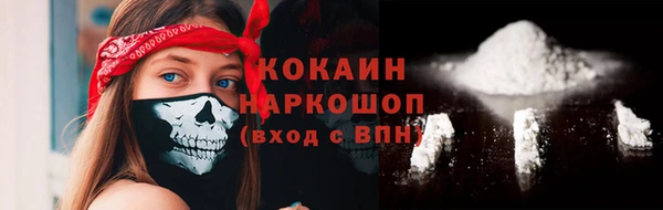 ГАЛЛЮЦИНОГЕННЫЕ ГРИБЫ Горно-Алтайск