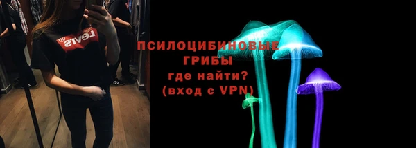 гашик Вязники