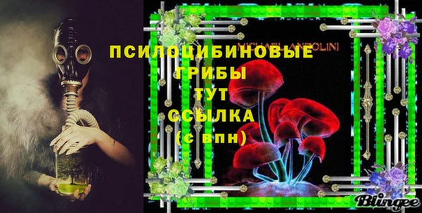 гашик Вязники