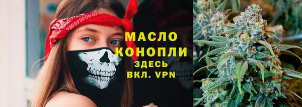гидра Вязьма
