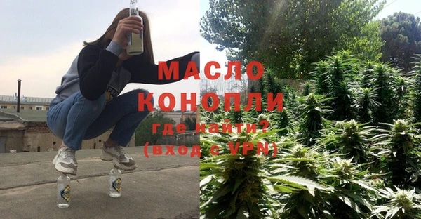 гидра Вязьма