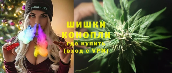 гидра Вязьма