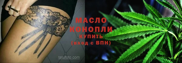 гидра Вязьма