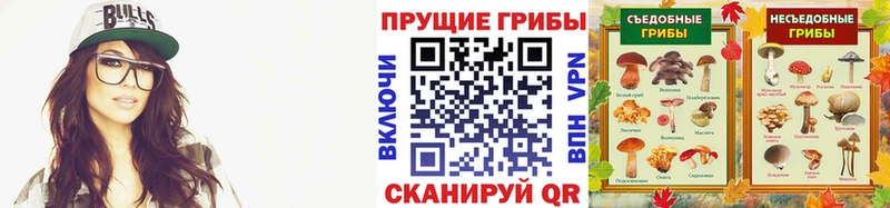 Купить Сосновоборск Псилоцибиновые грибы прущие грибы
